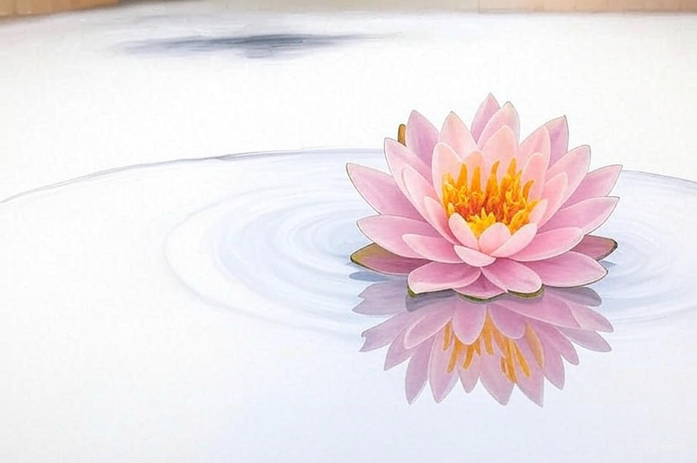 Lotus flower symbolizing relaxation massage